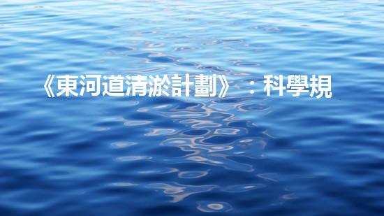 《東河道清淤計劃》：科學規(guī)劃，精準施工，確保清淤效果，提高防洪能力。